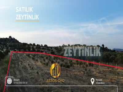 Ackerland Kaufen In  Türkei, Canakkale, Ayvacik, Camoba Str.-Kosedere Koyu. , 2900 m2