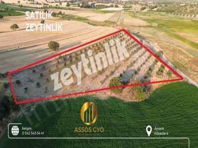 Ackerland Kaufen In  Türkei, Canakkale, Ayvacik, Camoba Str.-Kosedere Koyu. , 54600 m2