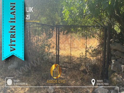 Ayvacık Söğütlü Köyünde 693 M² İmarlı + İmarsız Yan Yana Satışta! Satılık Arazi