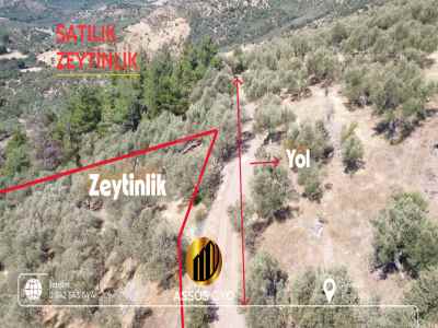 Field For Sale in  Turkey, Canakkale, Ayvacik, Pasakoy Alti neighborhood-Pasakoy Koyu. , 2203 m2