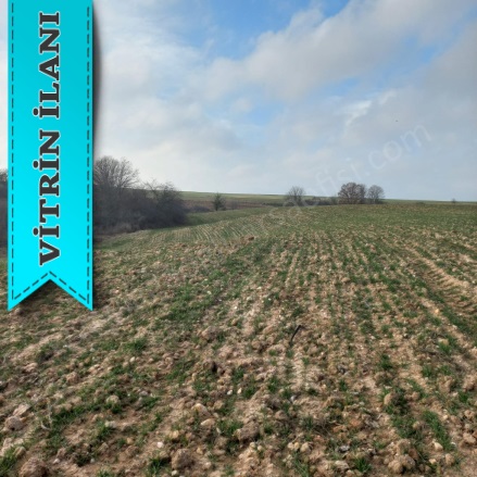 Kavakdere Köyü Kırklareli Satılık Taksitle Arsa |  316M2 199.000Tl Resim-3