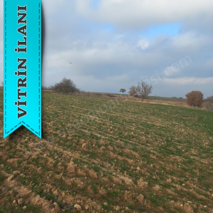 Kavakdere Köyü Kırklareli Satılık Taksitle Arsa |  316M2 199.000Tl Resim-4