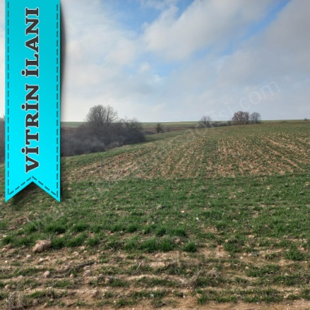 Kavakdere Köyü Kırklareli Satılık Taksitle Arsa |  316M2 199.000Tl Resim-5