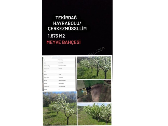 Çerkezmüsellim Mah. Hayrabolu Satılık Bağ Bahçe |  1875M2 790.000Tl Resim-2