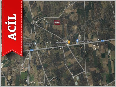 Acil Satılık Tarla Bursa Orhangazi Yeniköy De Ana Yola Yakın 4408 M2 Arsa Mah