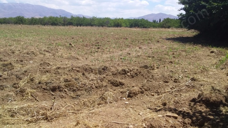 Topsöğüt Mah. Yeşilyurt Satılık Tarla |  4500M2 8.500.000Tl Resim-1