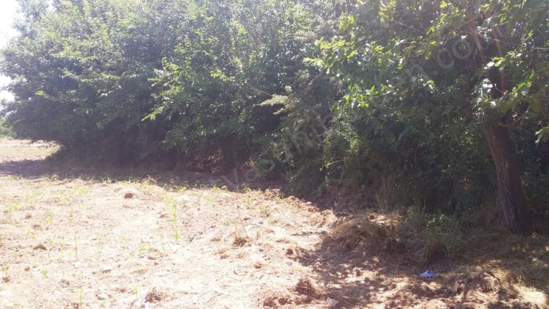 Topsöğüt Mah. Yeşilyurt Satılık Tarla |  4500M2 8.500.000Tl Resim-2