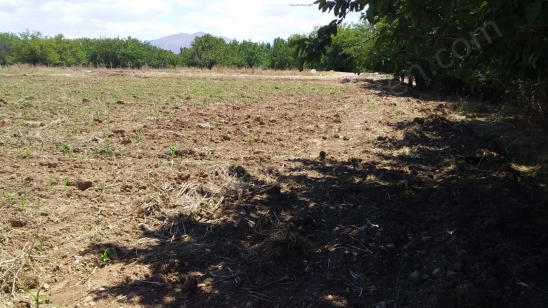 Topsöğüt Mah. Yeşilyurt Satılık Tarla |  4500M2 8.500.000Tl Resim-4