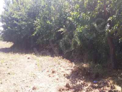 Field For Sale in  Turkey, Malatya, Yesilyurt, Topsogut neighborhood , 4500 m2