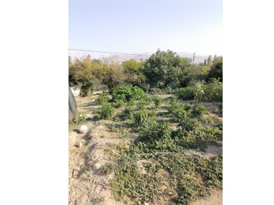 Hanımın Çiftliğinde Satılık Arsa Battalgazi Hanımınçiftliği Mah