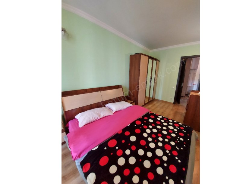 daily rent home 50 lari