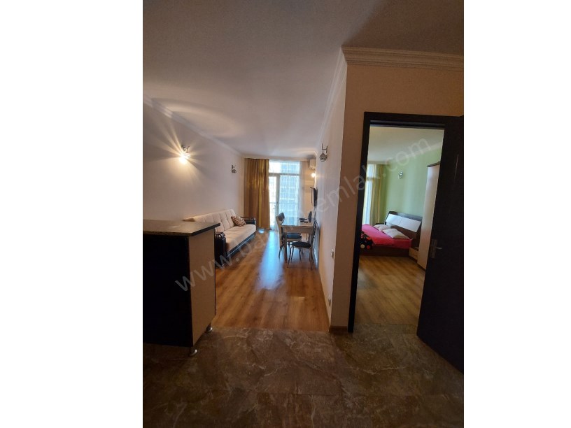 daily rent home 50 lari