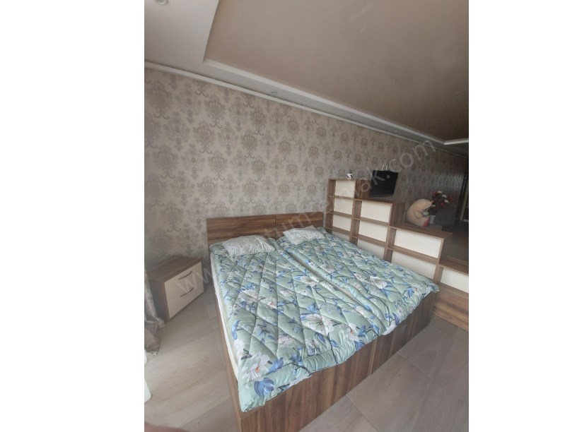 daily rent home 40 lari