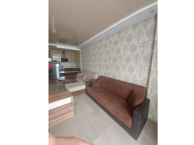 daily rent home 40 lari