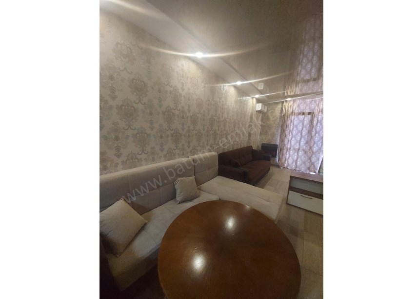 daily rent home 40 lari