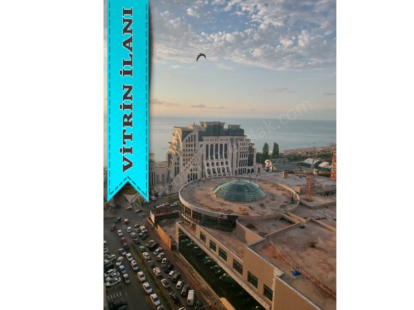 for daily rent home 40 lari