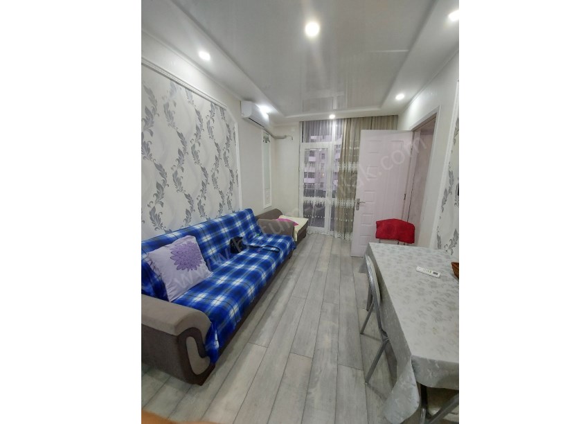 for daily rent home 40 lari