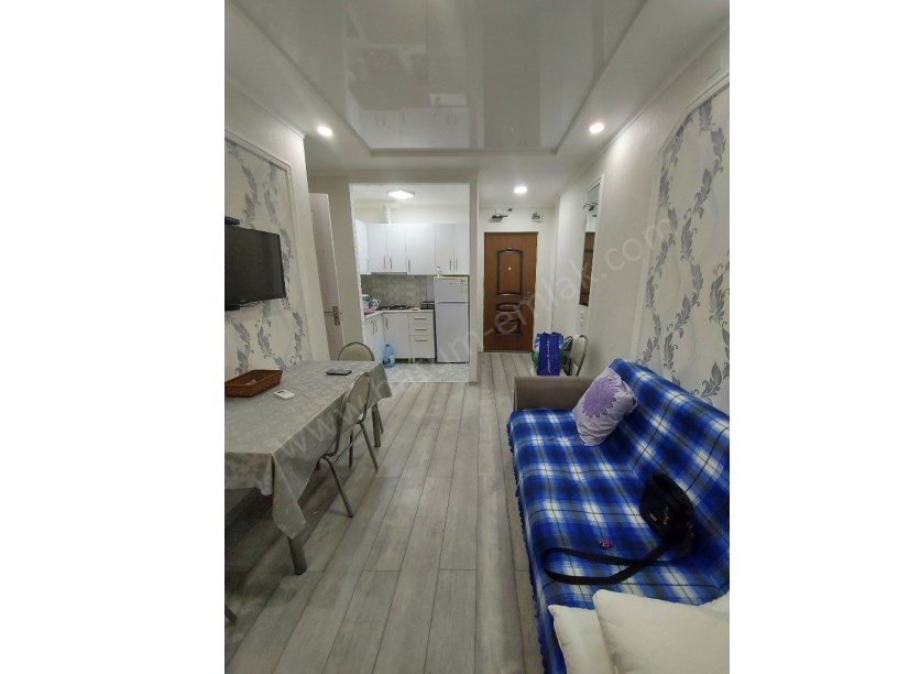 for daily rent home 40 lari