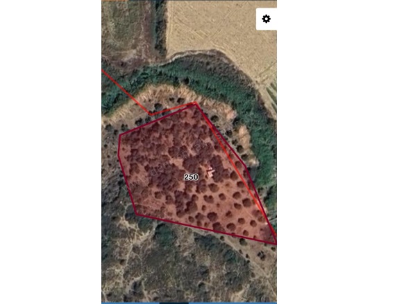 Kışla Mah. Arsuz Satılık Tarla |  2510M2 4.500.000Tl Resim-1