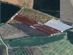 Arsuz Karahüseyinli Mah. Satılık Tarla 10000 M2