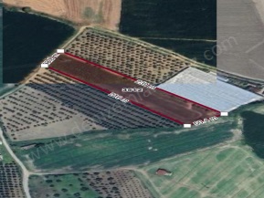 Hatay Arsuz Karahüseyinli Mah. Satılık Tarla 10000 M2