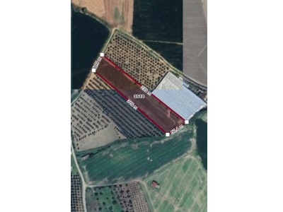 Arsuz Karahüseyinli Mahallesinde Çok Güzel Konuma Sahip Müstakil Tapu 10 000 Metre² Satılık Tarla Tarlatır Mah