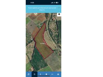 Arsuz Madenli Mahallesinde Ana Yoldan İkinci Denize Yakın Satılık Tarla 21 643 Metre² Mah