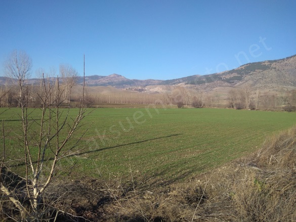 Hamam Mah. Turhal Satılık İşyeri | 12.500.000Tl Resim-3