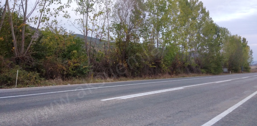 Ede Köyü Zile Satılık Tarla |  5000M2 5.500.000Tl Resim-1