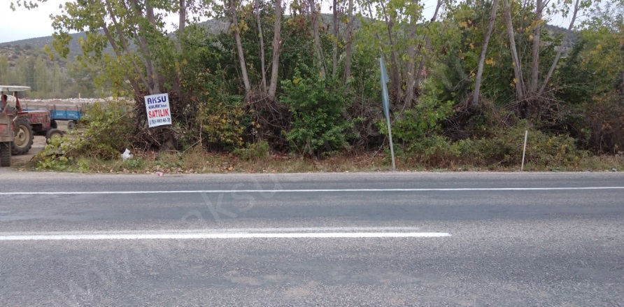 Ede Köyü Zile Satılık Tarla |  5000M2 5.500.000Tl Resim-2