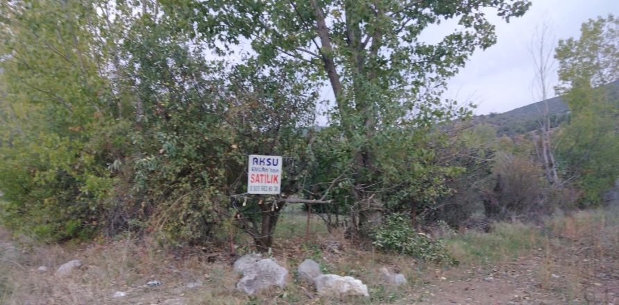 Ede Köyü Zile Satılık Tarla |  5000M2 5.500.000Tl Resim-4