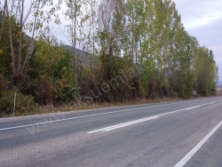 Zile Ede Köyü Satılık Tarla 5000 M2