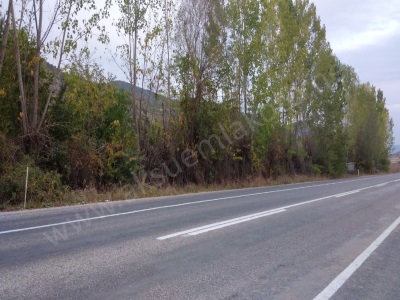 Satlık Bahçe Satılık Tarla Tokat Zile Ede Köyü