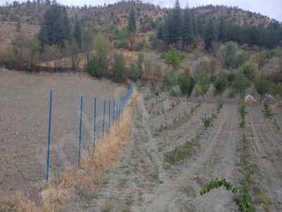  For Sale in  Turkey, Tokat, Turhal, Igdeli neighborhood-Kazanci Koyu. 