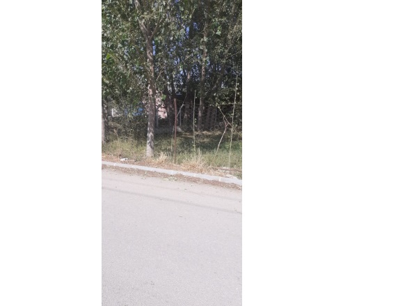 Çevlikler Mah. Turhal Satılık Tarla |  1744M2 4.925.000Tl İmarlı  Resim-1