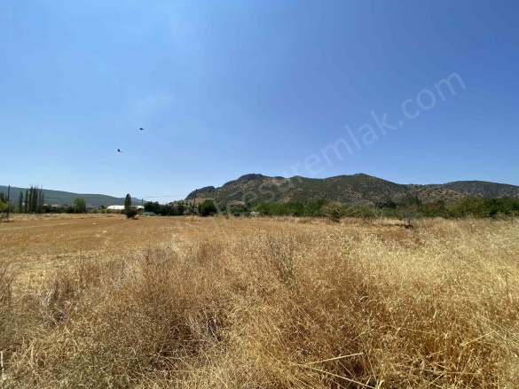 Gazi Osman Paşa Mah. Turhal Satılık Arsa |  503M2 5.250.000Tl Resim-2