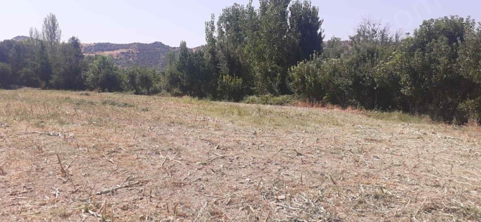 Dazya Köyü Turhal Satılık Tarla |  7000M2 2.800.000Tl Resim-1