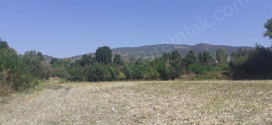 Dazya Köyü Turhal Satılık Tarla |  7000M2 2.800.000Tl Resim-3