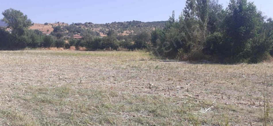 Dazya Köyü Turhal Satılık Tarla |  7000M2 2.800.000Tl Resim-4