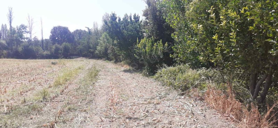 Dazya Köyü Turhal Satılık Tarla |  7000M2 2.800.000Tl Resim-5