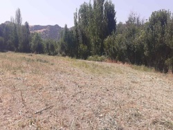 Turhal Dazya Köyü Satılık Tarla 7000 M2