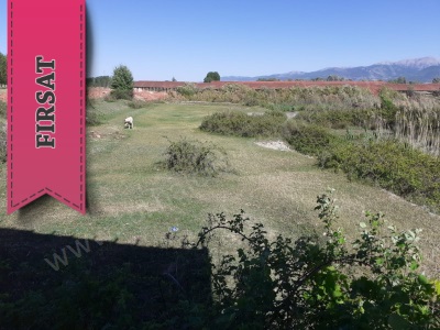 Arzupınar Köyü Hantoprağı Satılık Tarla Tokat Turhal