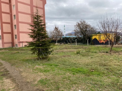 Toki Yanında Satılık Arsa Tokat Turhal Mevlana Mah