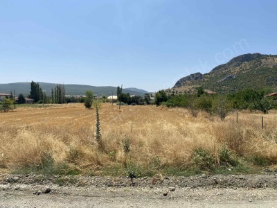 İskele Satılık Arsa Tokat Turhal Gazi Osman Paşa Mah