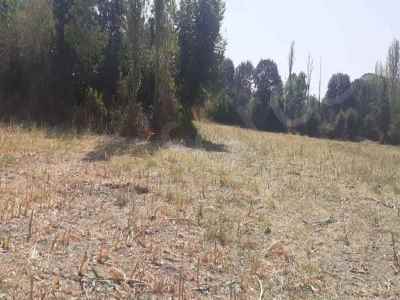 Field For Sale in  Turkey, Tokat, Turhal, Dazya Koyu , 7000 m2