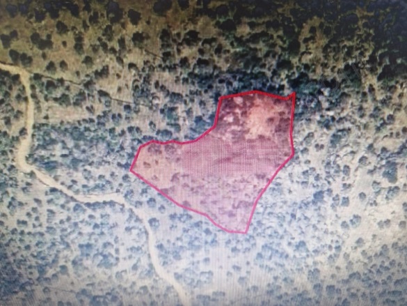 Bereket Mah. Çine Satılık Tarla |  4415M2 320.000Tl Resim-1