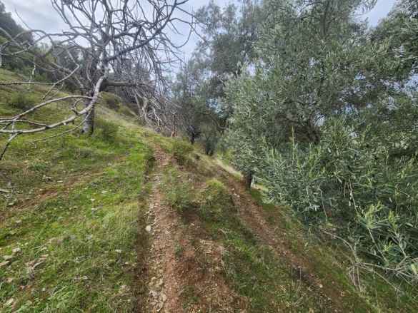 Konuklu Mah. Efeler Satılık Arsa |  6025M2 895.000Tl Resim-1