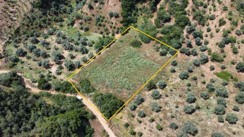 Satılık Arsa Efeler Çayyüzünde 3 222 M² Zeytinlik (Son 1 Ay) Çayyüzü Mah