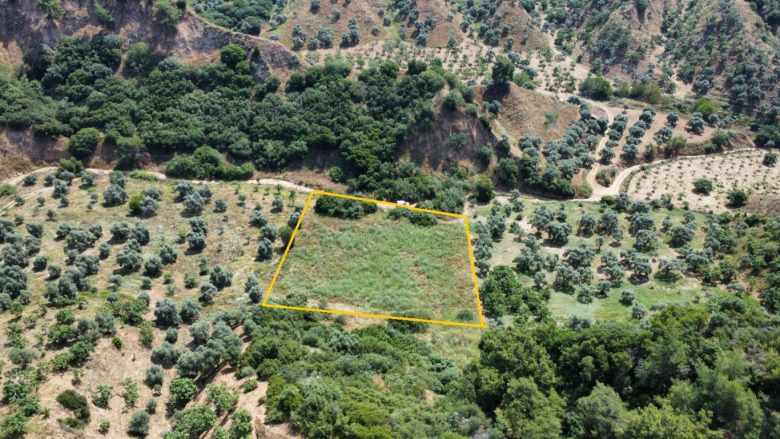 Satılık Arsa Efeler Çayyüzünde 3 222 M² Zeytinlik (Son 1 Ay) Çayyüzü Mah