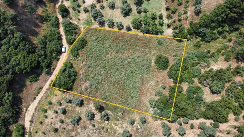 Satılık Arsa Efeler Çayyüzünde 3 222 M² Zeytinlik (Son 1 Ay) Çayyüzü Mah